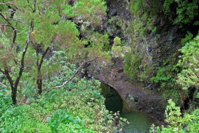 Madeira Levada Walk - Rabacal Lakes and Fountains - Stop at 25 Fontes and Cascada da Risco: where the water makes the schedule