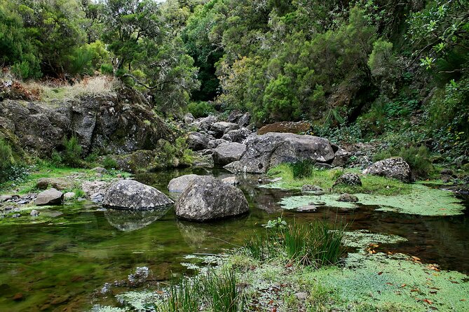 Madeira Levada Walk - Rabacal Lakes and Fountains - Crowds at 25 Fontes: how to enjoy it without letting it annoy you