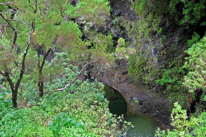 Madeira Levada Walk - Rabacal Lakes and Fountains - Stop at 25 Fontes and Cascada da Risco: where the water makes the schedule