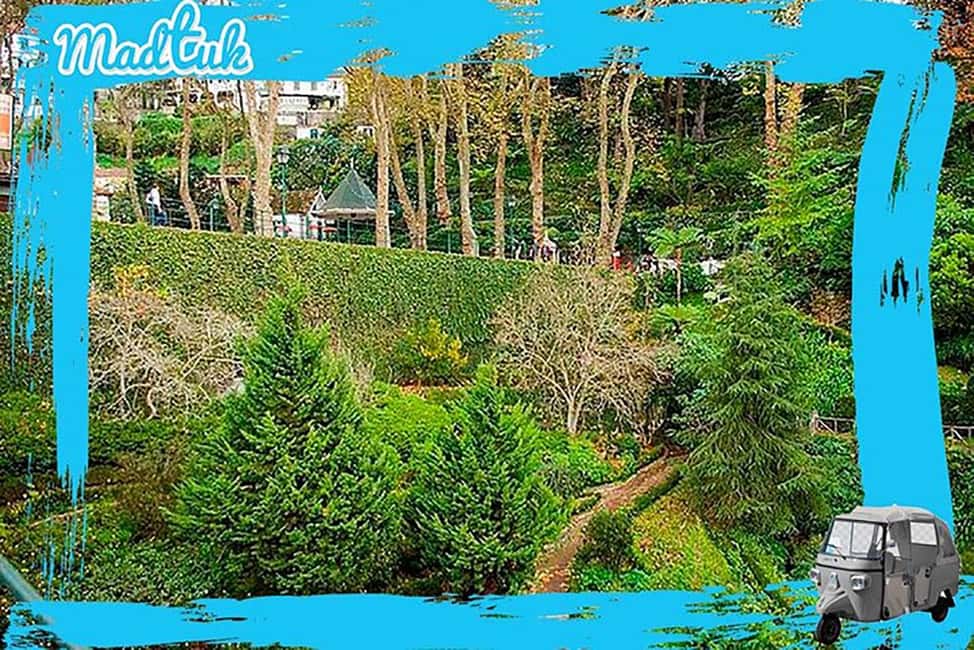 Madeira: Monte Toboggan & Old Town Guided Tuk Tour by MadTuk - From Funchal to Monte: Why This Combo Works