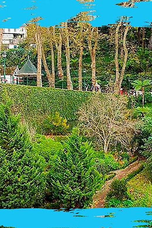 Madeira: Monte Toboggan & Old Town Guided Tuk Tour by MadTuk - Price and Value: What You’re Really Paying For at $44