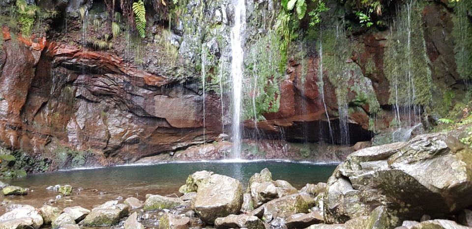 Madeira: Mountain Walk with Lagoon and Waterfalls - Key highlights you’ll actually care about