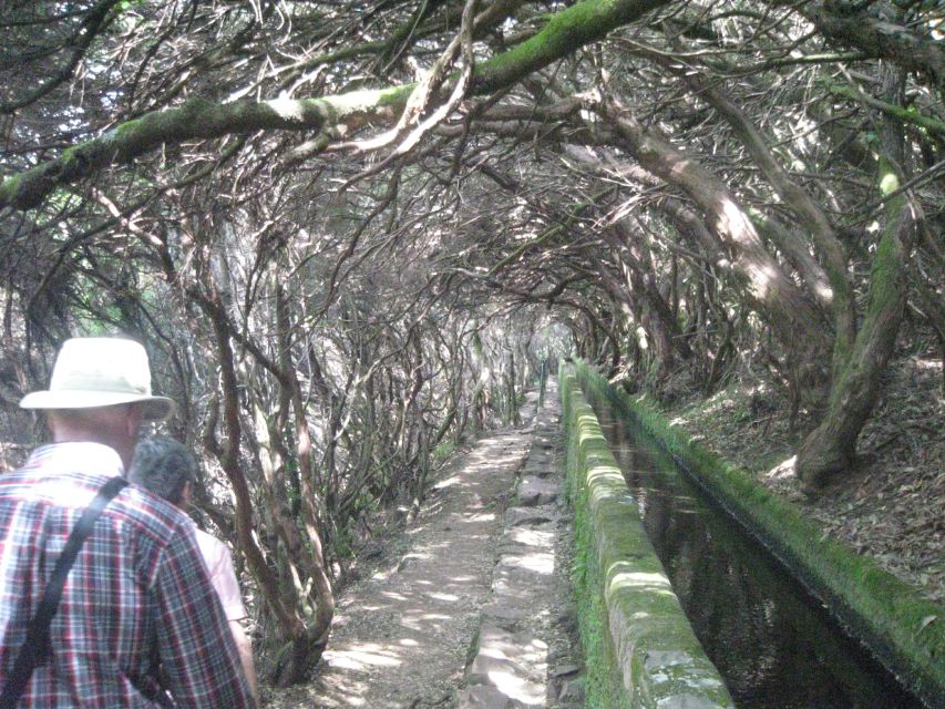 Madeira: Mountain Walk with Lagoon and Waterfalls - How the 8-hour day really flows (and where time can slip)