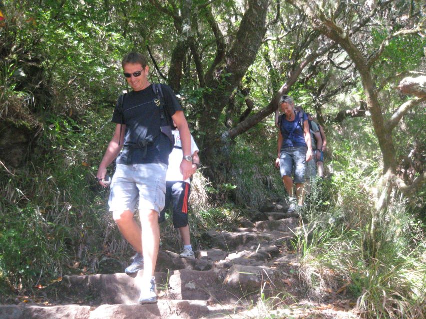 Madeira: Mountain Walk with Lagoon and Waterfalls - Group size and pacing: what to expect on the ground