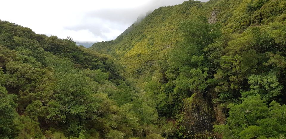 Madeira: Mountain Walk with Lagoon and Waterfalls - Who this hike suits best (and who might rethink it)