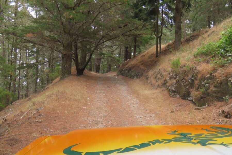 Madeira : Nun's Valleys and Pico Areeiro 4X4 Tour - Price and Value: Why $49 Can Make Sense for This Route