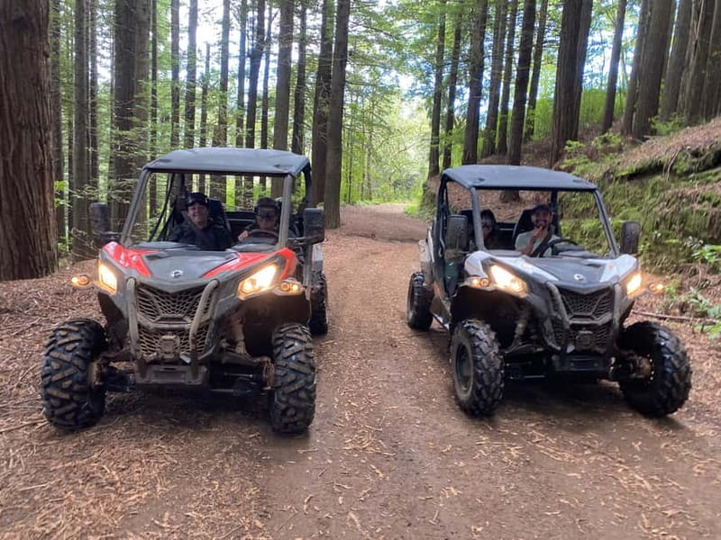 Madeira: Off-Road Buggy Driving Experience - Key things to know