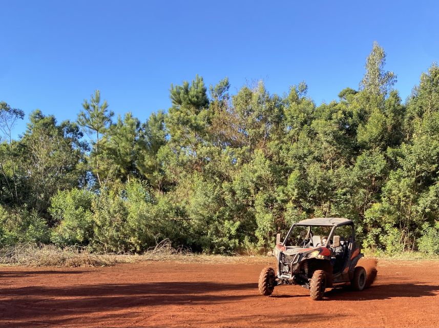 Madeira: Off-Road Buggy Driving Experience - Should You Book This Tour in Madeira?