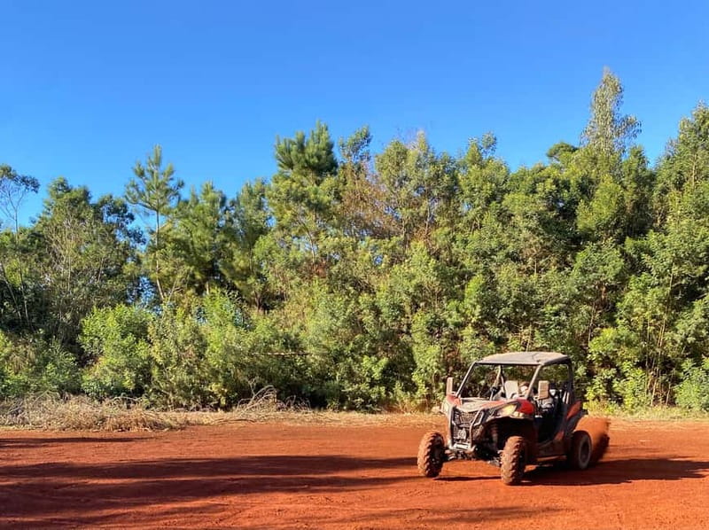Madeira: Off-Road Buggy Driving Experience - Iconic Stops for Photos: Where the View Makes Sense