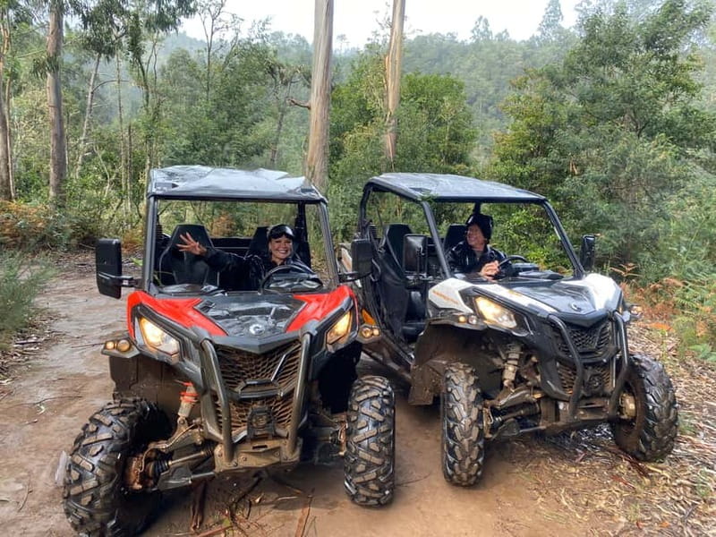 Madeira: Off-Road Buggy Driving Experience - Sao Jorge and the North Side Flavor: Real Roads, Not Just Scenery
