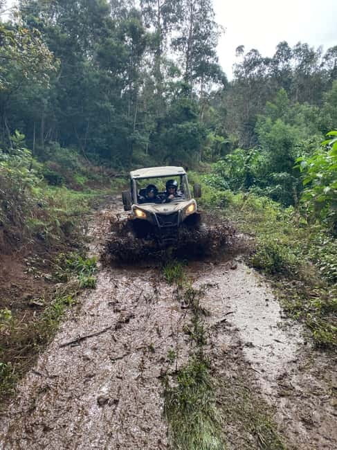 Madeira: Off-Road Buggy Driving Experience - Price and Value: $176 for Up to Two, Two Hours of Real Adventure