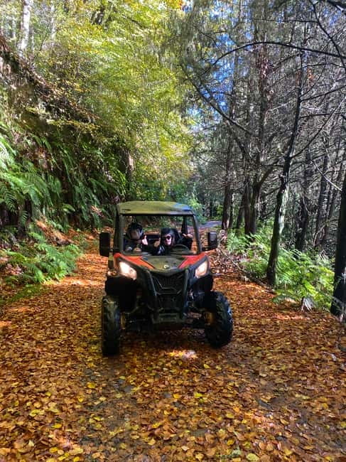 Madeira: Off-Road Buggy Driving Experience - Before You Go: License, Shoes, and Rain-Ready Reality