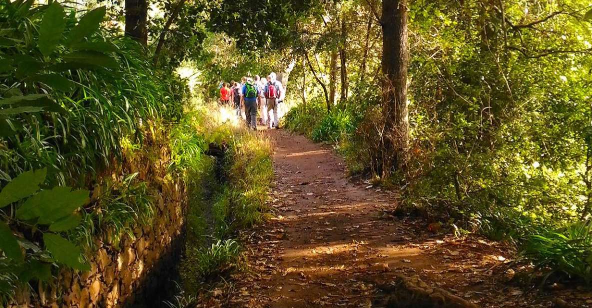 Madeira: Paradise Valley Levada Walk - Key reasons to choose this Levada walk in Madeira