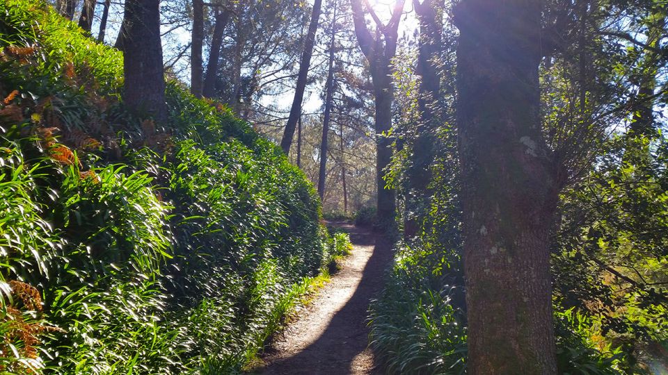 Madeira: Paradise Valley Levada Walk - What to bring for a comfortable Paradise Valley day