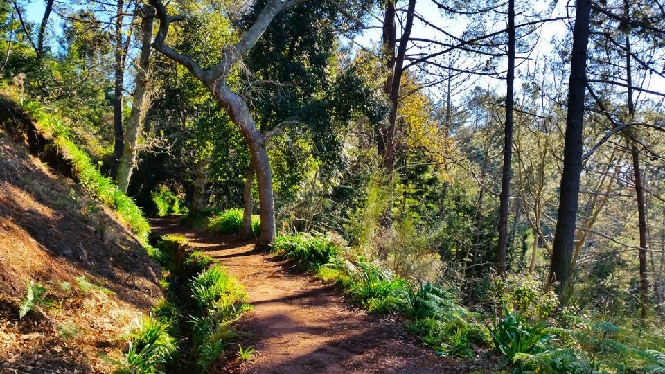 Madeira: Paradise Valley Levada Walk - Gardens and cultivated terraces near Camacha: seeing how Madeira feeds itself