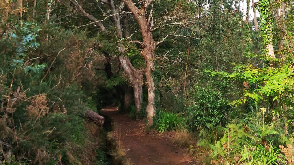 Madeira: Paradise Valley Levada Walk - How long is the walk and what pace should you expect?