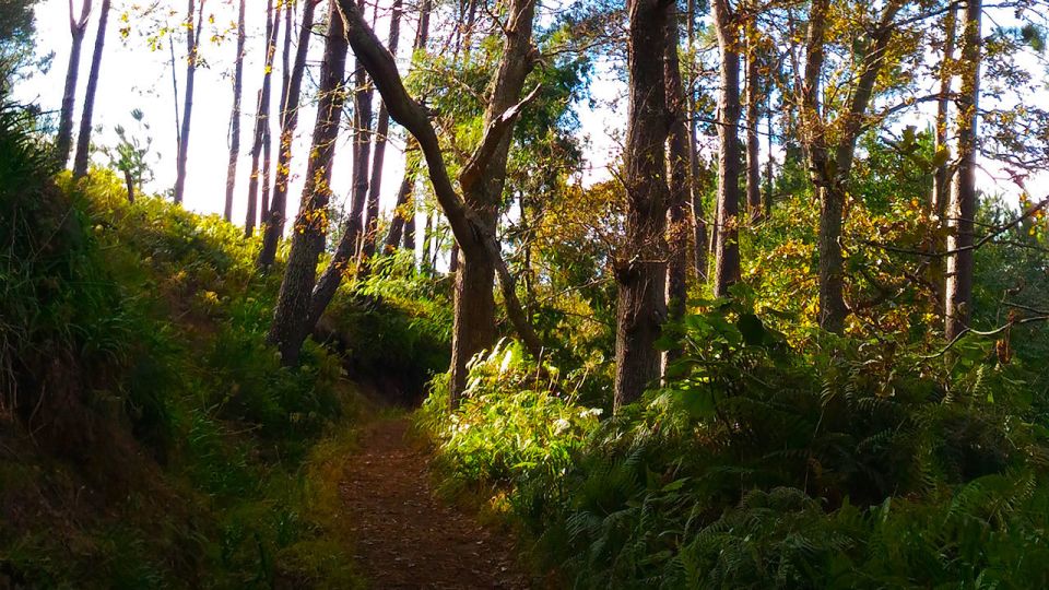 Madeira: Paradise Valley Levada Walk - Price and value: is $38 worth it?
