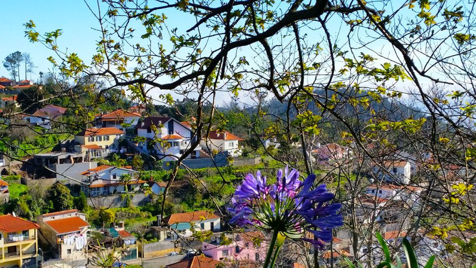 Madeira: Paradise Valley Levada Walk - Pickup, starting point, and making the logistics painless