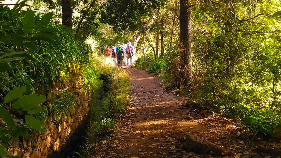 Madeira: Paradise Valley Levada Walk - From Vale do Paraíso to Rochão: the route’s main rhythm