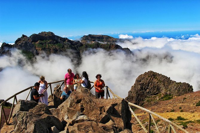 Madeira Peaks - Open 4X4 Full-Day Tour - Porta da Cruz Sugar Cane Factory: A Madeira Food and Culture Interruption