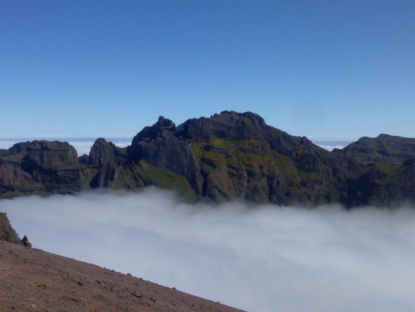 Madeira: Pico do Arieiro & Laurissilva Forest - East tour - The real logistics: timing, weather, and how to make the most of 8 hours
