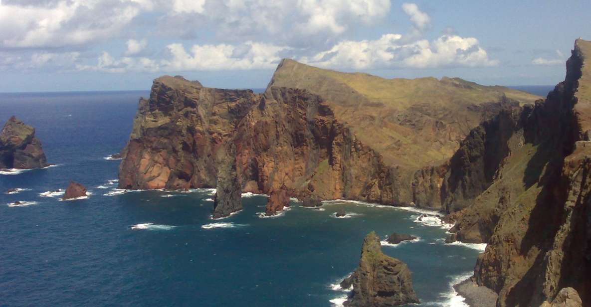 Madeira: Pico do Arieiro & Laurissilva Forest - East tour - Laurissilva Forest: a UNESCO walk through 20 million years of growth