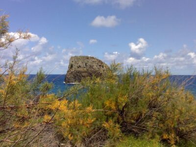 Madeira: Pico do Arieiro & Laurissilva Forest - East tour - Pico do Arieiro: the 1,818 m summit stop you’ll remember