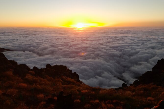 Madeira Pico do Arieiro Sunrise Tour - Pickup and timing: no parking stress, just early-morning momentum