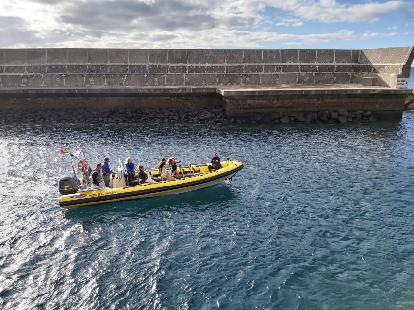 Madeira: Ponta de São Lourenço Lighthouse Boat Tour - Ilhéu dos Desembarcadouros: protected islet and the best kind of wildlife viewing