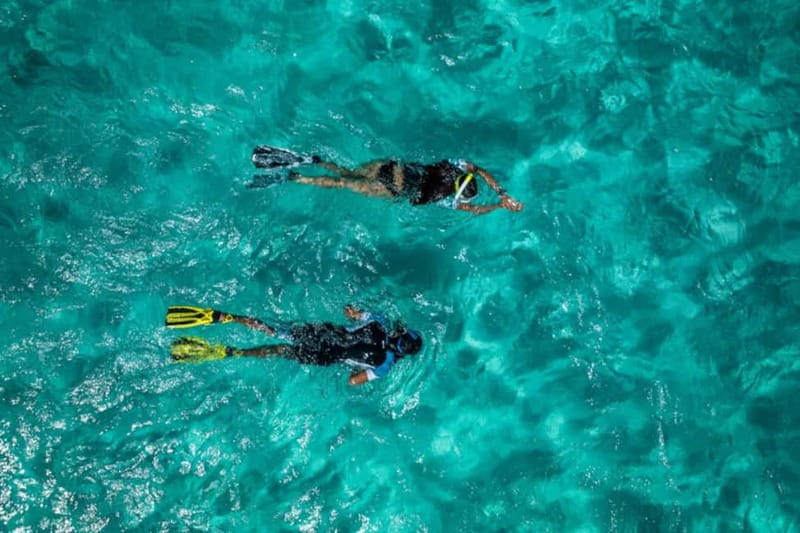 Madeira: Ponta de São Lourenço Snorkeling Boat Trip - Two Hours of Guided Snorkeling in Clear, Protected Waters