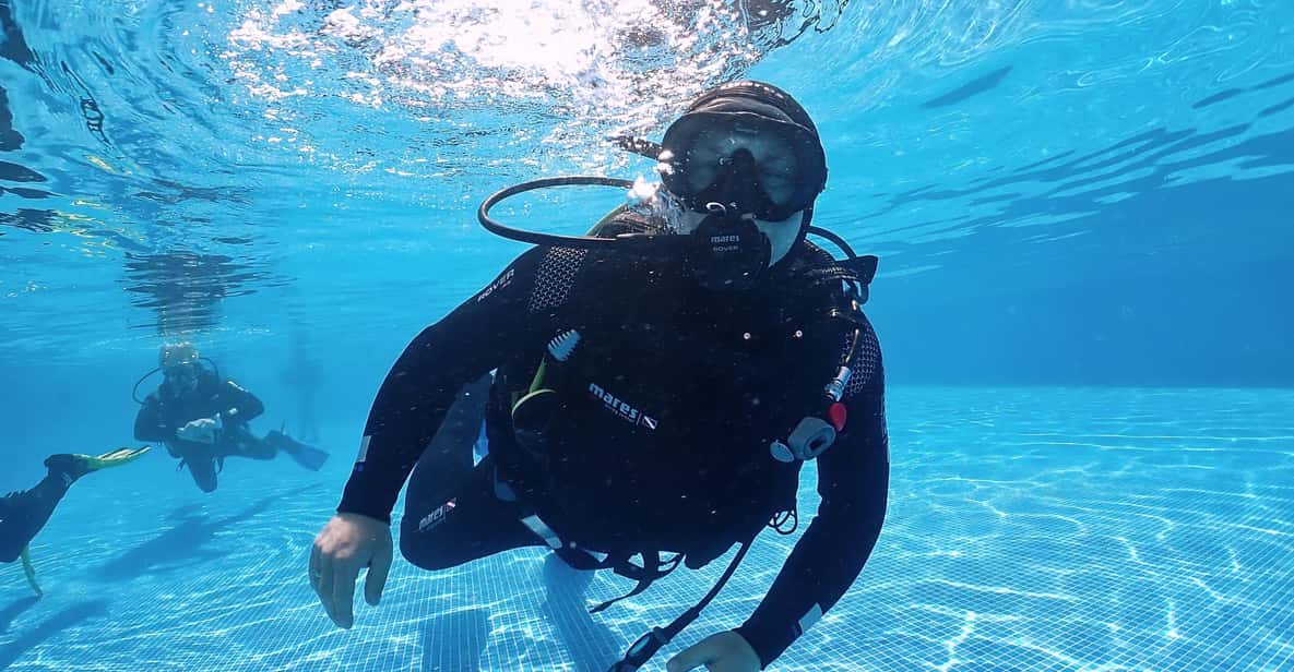 Madeira, Ponta São Lourenço: Scuba Diving for Beginners - Key highlights for your Madeira first-timer checklist