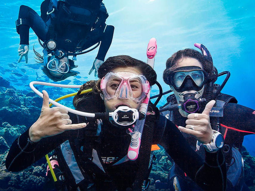 Madeira, Ponta São Lourenço: Scuba Diving for Beginners - Certificate of participation: why it can help your next step