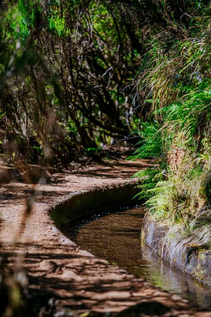 Madeira: PR 18 - Levada do Rei Hike Transfer with Host - Key points