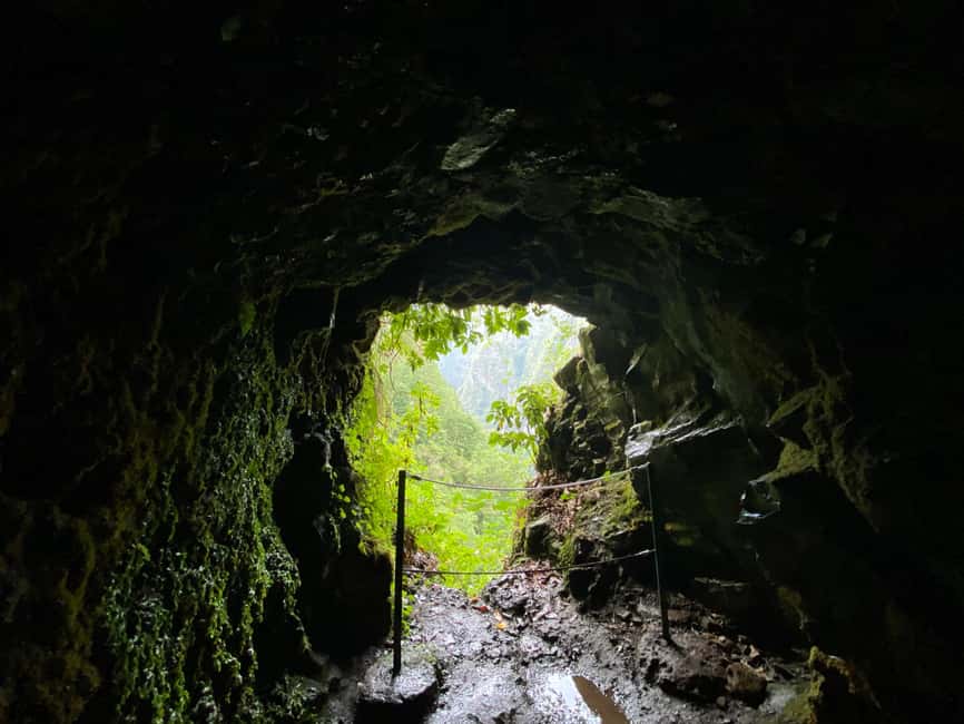 Madeira: PR 9 - Levada do Caldeirão Verde Hike Transfer - Morning Pickup in Funchal, Caniço, or Garajau: the Real Time Saver