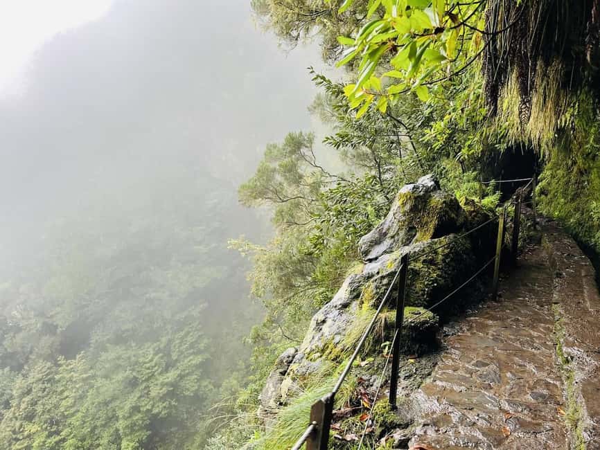 Madeira: PR 9 - Levada do Caldeirão Verde Hike Transfer - PR9.1 Caminho para Todos: a Gentle Start Before the Tunnels