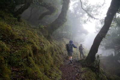 Madeira: PR 9 - Levada do Caldeirão Verde Hike Transfer - Pico das Pedras to Trailhead: the Warmup Walk Through Santana