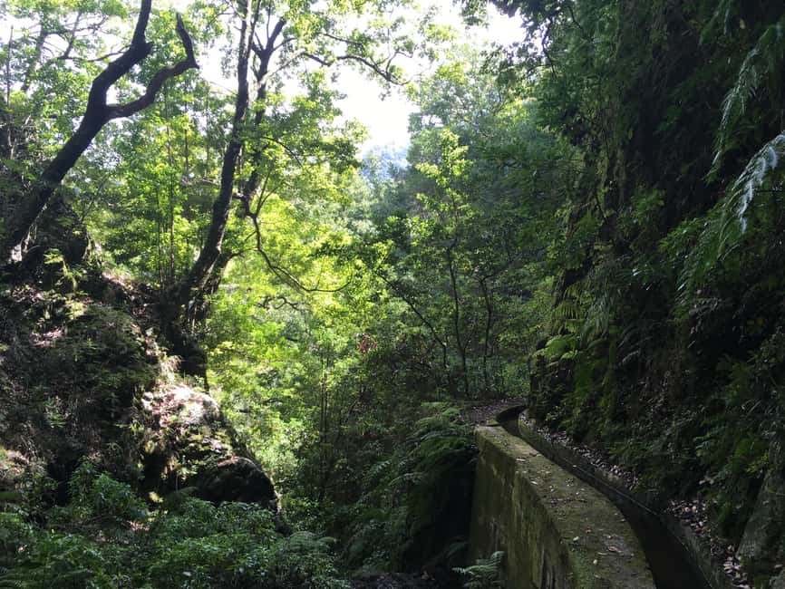 Madeira: PR 9 - Levada do Caldeirão Verde Hike Transfer - What to Bring for a Wet, Narrow Trail (and Tunnel Headaches)