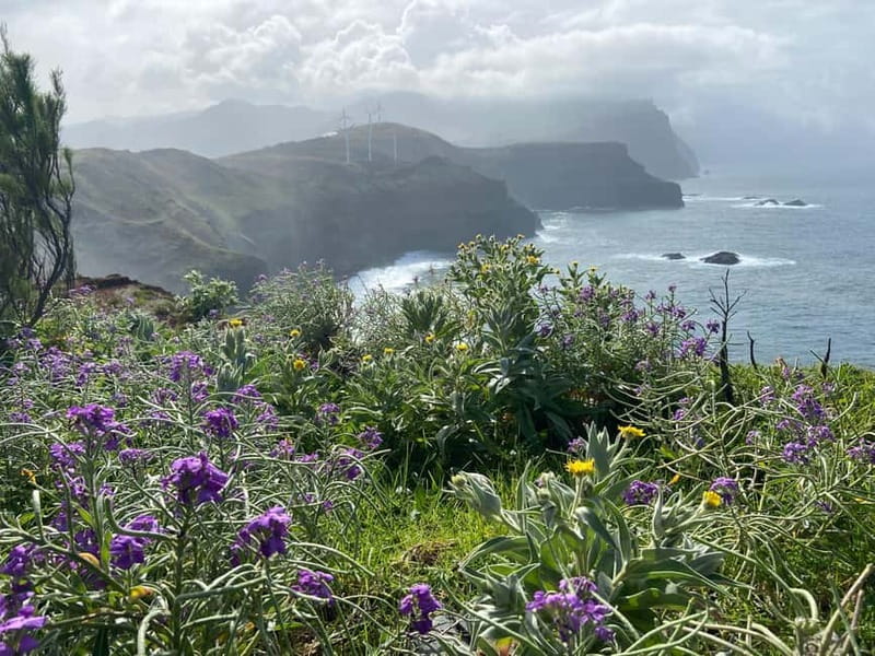 Madeira: PR8 -Ponta de São Lourenço Natural Reserve Transfer - Sunrise chance at Ponta de São Lourenço: how to make it work