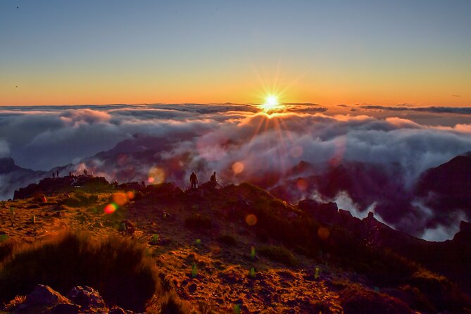 Madeira Private Bespoke Exclusive Grand Tour | Premium Quality - A panoramic-roof van turns every viewpoint into a photo stop
