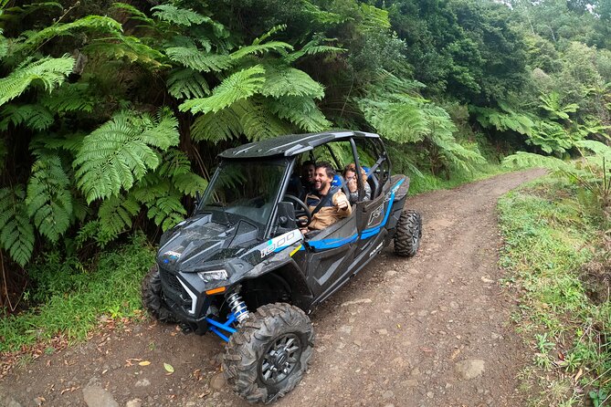 Madeira Private Buggy Adventure: Forest and Mountains - Meeting at Saba Monumental and Getting Your Safety Game Plan