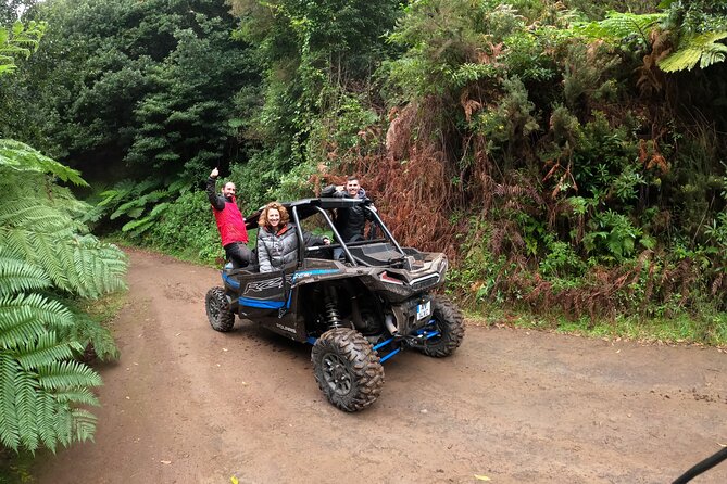 Madeira Private Buggy Adventure: Forest and Mountains - Climb Toward the Vistas: Mountain Stops That Pay Off