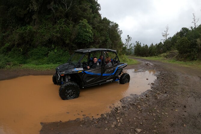 Madeira Private Buggy Adventure: Forest and Mountains - Price and Value for a 4-Hour Private Adventure
