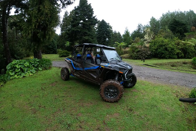 Madeira Private Buggy Adventure: Forest and Mountains - Who Should Book This Buggy Tour (and Who Should Skip It)