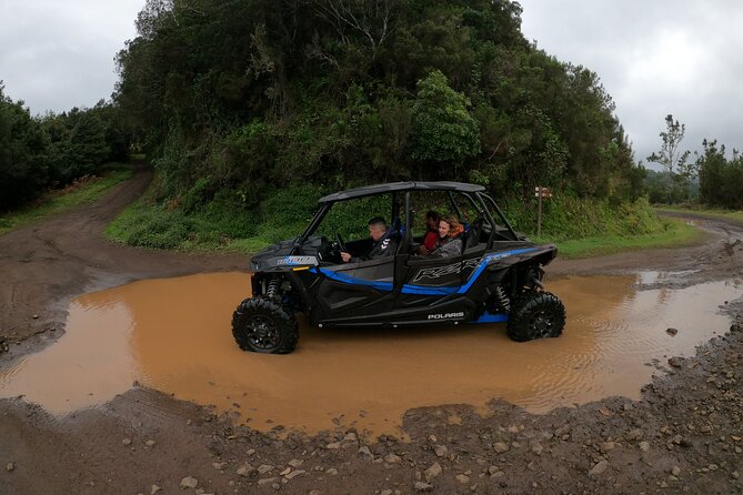 Madeira Private Buggy Adventure: Forest and Mountains - On-Road Meets Off-Road: Bumpy Trails, Mud Splashes, Big Views