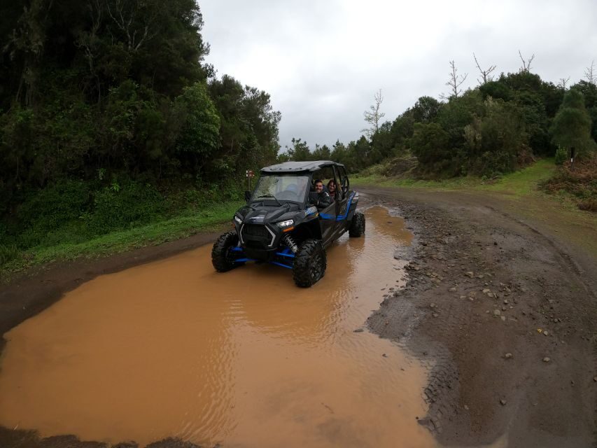 Madeira Private Buggy Adventure: Mountains and Forests - Key highlights you’ll actually care about