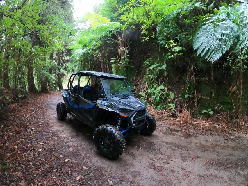 Madeira Private Buggy Adventure: Mountains and Forests - What to bring and wear so you’re comfortable (even in quick weather shifts)