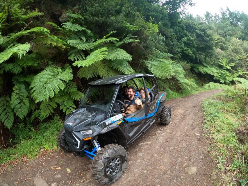 Madeira Private Buggy Adventure: Mountains and Forests - Polaris RZR XP4 and the real question: drive or ride