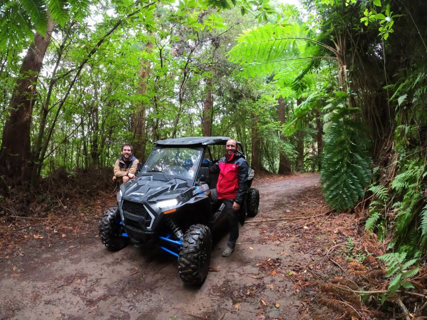 Madeira Private Buggy Adventure: Mountains and Forests - Serra das Funduras forest road: the long stretch you came for
