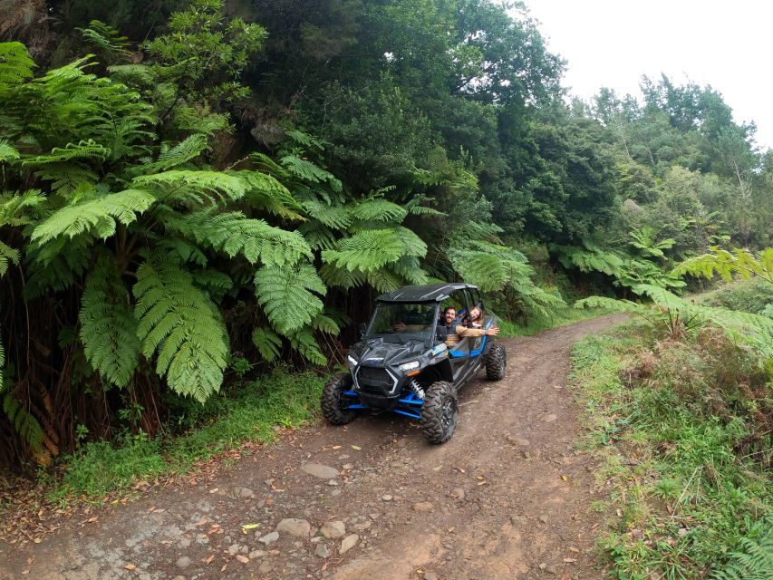 Madeira Private Buggy Adventure: Mountains and Forests - Santo da Serra finish and rolling back toward Funchal