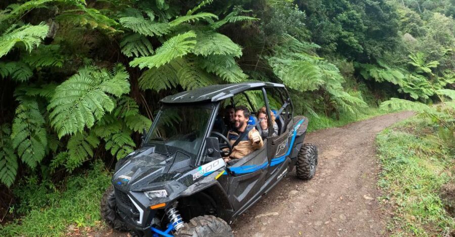 Madeira Private Buggy Adventure: Mountains and Forests - Price and value: what $212 buys you on Madeira